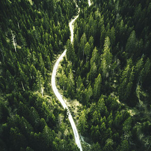 Environmental Impact